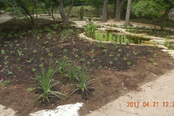 April 21, 2017: The completed project.  These plants will fill in over time.